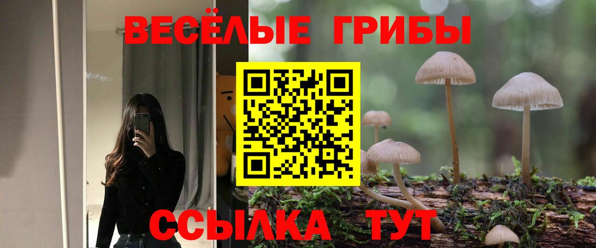 Галлюциногенные грибы Psilocybine cubensis  Вход с VPN  Краснокаменск  Псилоцибиновые грибы Psilocybine cubensis 